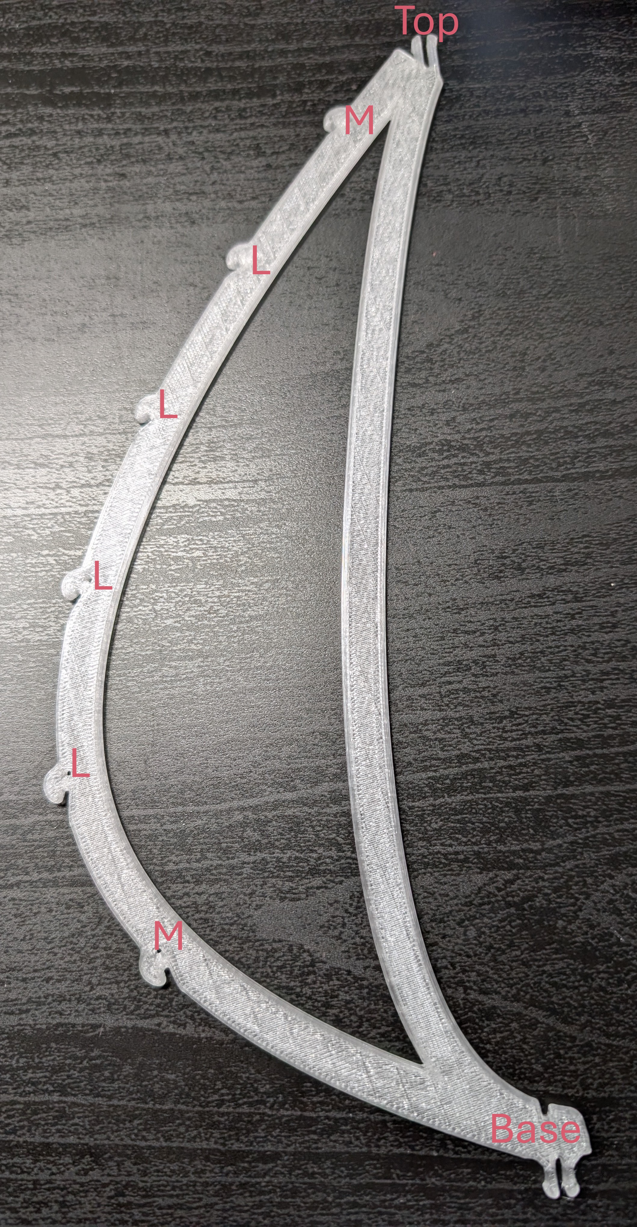 Leaf Placement Spline 1