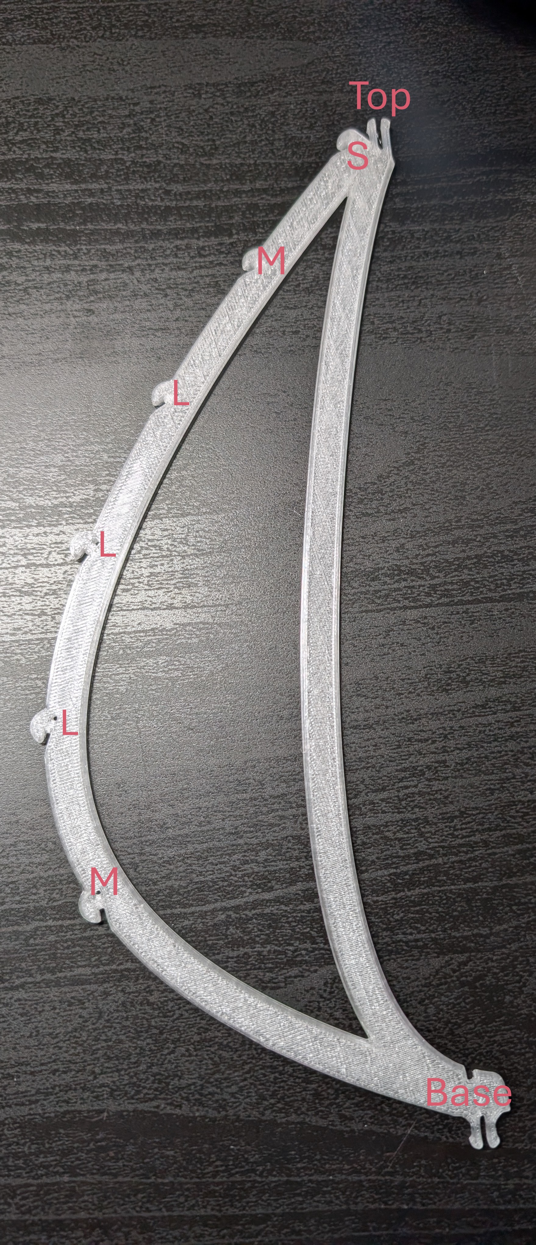 Leaf Placement Spline 2