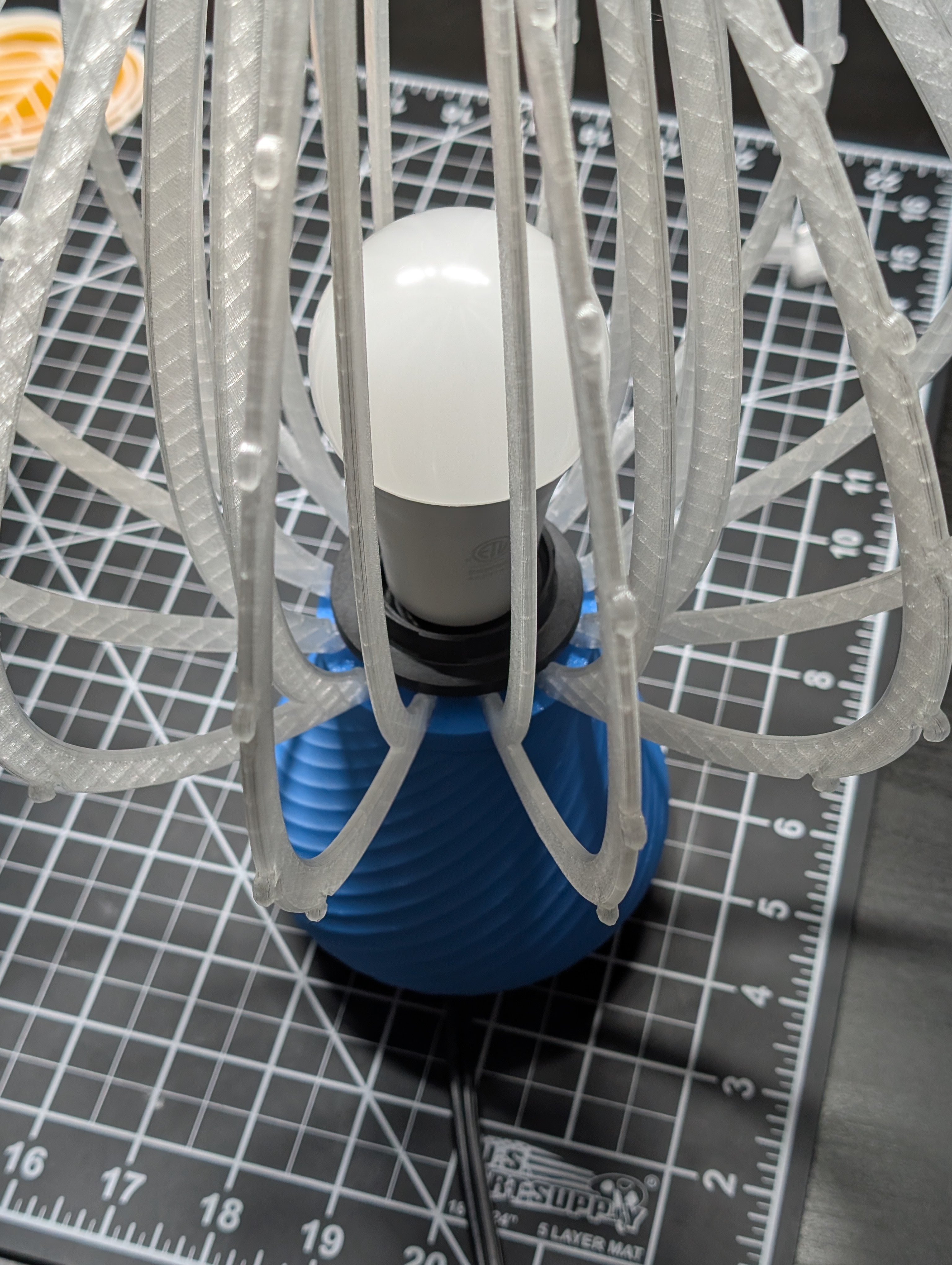 LED Bulb Installation